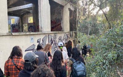 IF nothing else let’s walk together.